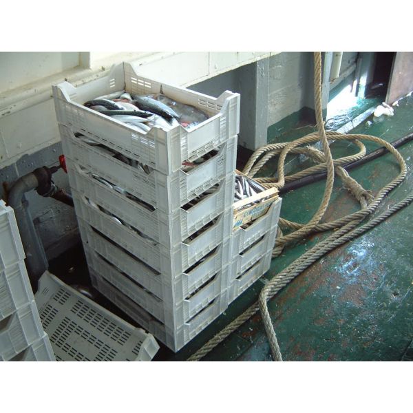 Caja plegable adriatica